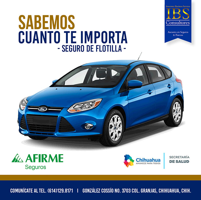 IBS Consultores