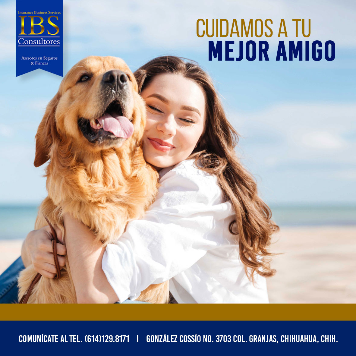 IBS Consultores