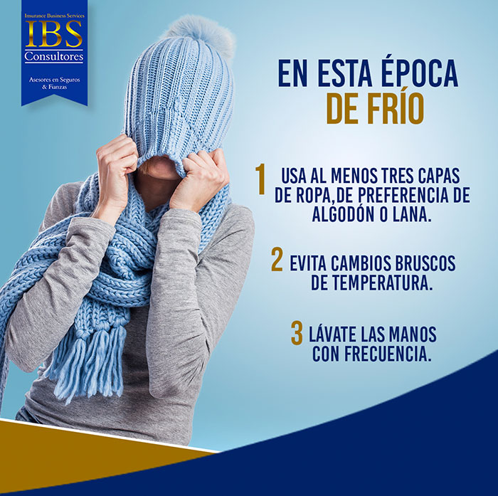 IBS Consultores