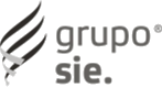 Grupo SIEE