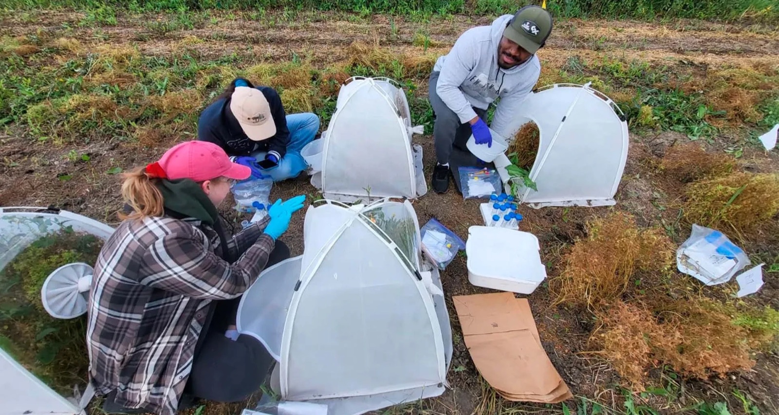 De un laboratorio en Canadá a una revista científica: qué aprende una empresa de ese camino
