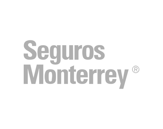1segurosmty